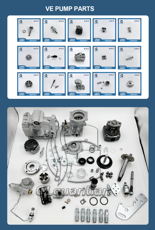 VE4 Fuel Injection Pump Cam Disk and Plate Component