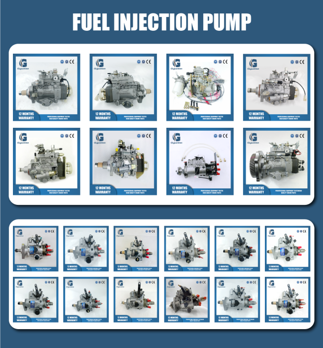 VE4/11F1900L064 Fuel Injection Pump for JAC JX493ZQ4 Engine