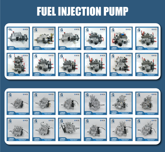 Additional diesel injection pump models and variants available