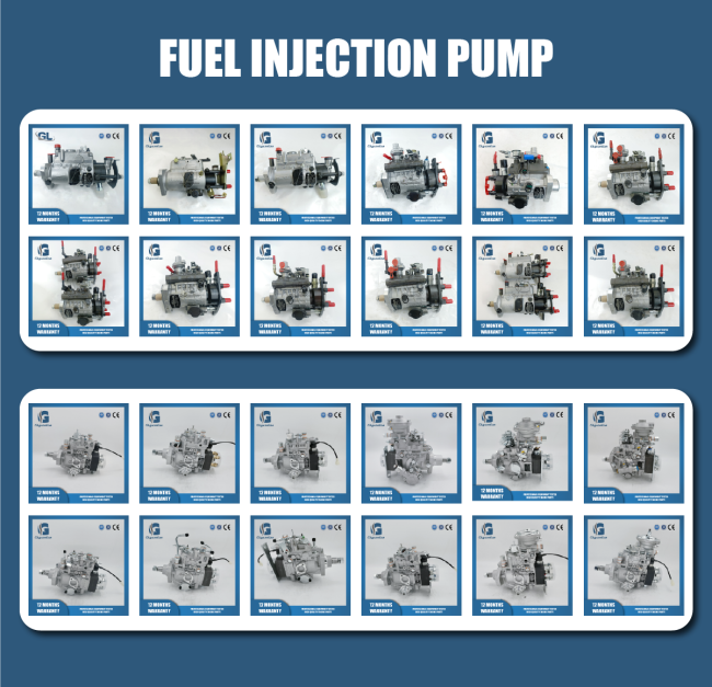 CP3 Fuel Injection Pump for CUMMINS FORD QSB5.9 Engine
