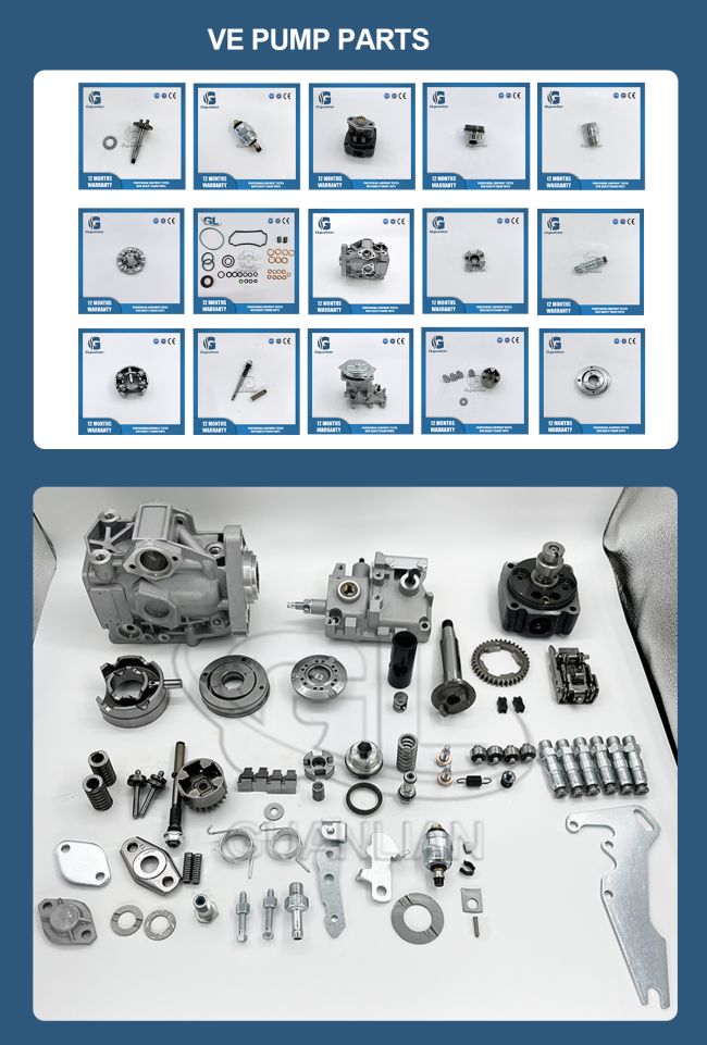 VE 6 Cylinders Fuel Injection Pump technical diagram and specifications
