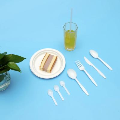 China Compostable Sustainable Eco Friendly Disposable Forks For Hotel Restaurant for sale