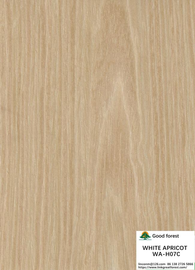Hotel Recon Wood Veneer White Apricot H07C Flat Cut Length 3100mm Good Price From China Manufacturer
