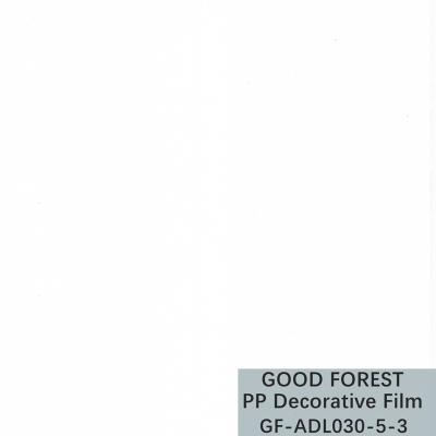 China Recyclable Clear Polypropylene Film Decorative Lichi Dermatoglyph for sale