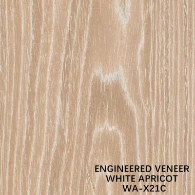China White Apricot Flat Cut X21C Engineered Wood Veneer For Cabinet Face / Door Skin ODM for sale