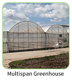 Multispan Plastic Greenhouse