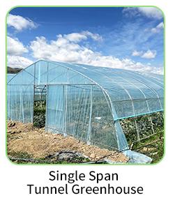 Tunnel Plastic Greenhouse