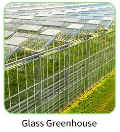 Glass Greenhouse