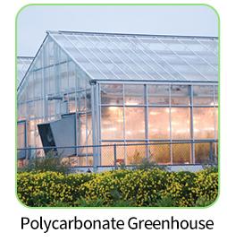 Polycarbonate Sheet Greenhouse
