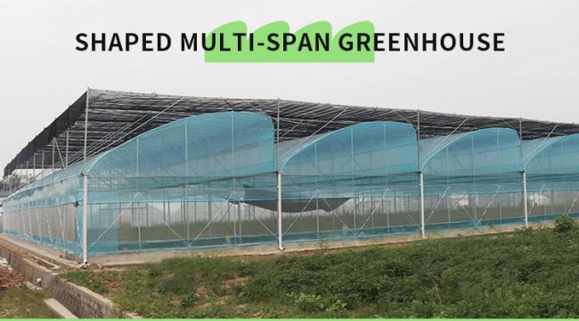 Multi-span greenhouse side view