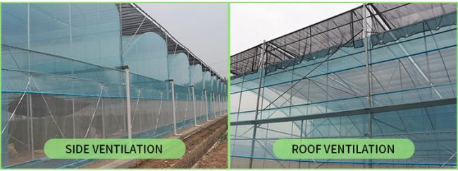 Completed greenhouse project