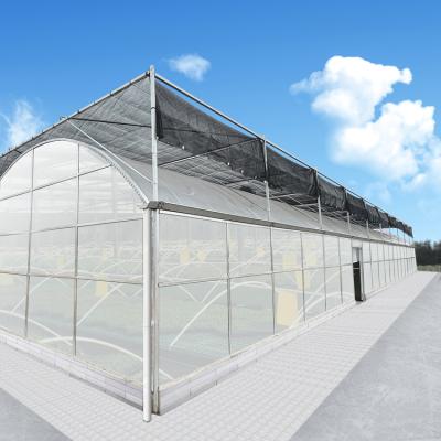 China Climate Controller Polycarbonate Multi Span Greenhouse for Vegetable Production for sale