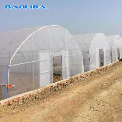 China Vegetais altos do túnel que plantam a estufa vegetal do filme plástico do túnel do único período à venda