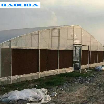 China El invernadero de la película de polietileno de la planta de las verduras con el sistema de enfriamiento fácil instala en venta