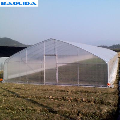 China Farm Tunnel Polyethylene Film Greenhouse / Clear Plastic Greenhouse For Various Vegetables for sale