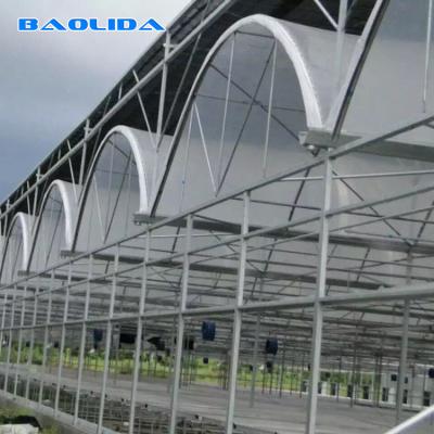 China Agricultural Shed Large Polycarbonate Sheet Greenhouse Steel Pipe Light Material for sale