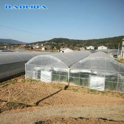 China Plant Nursery Polyethylene Film Greenhouse Kit / Farm Tech Greenhouses for sale