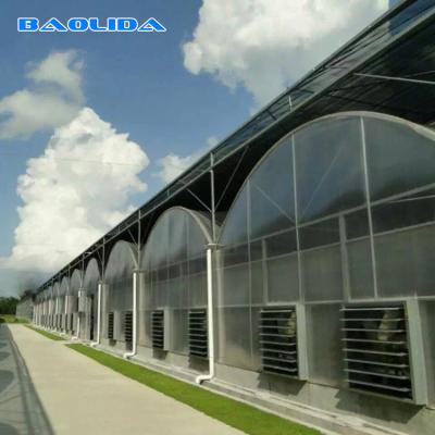 China Multi Span Vegetable Animal Flower Growing Agriculture Polycarbonate Sheet Greenhouse for sale