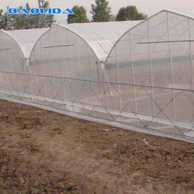 China Sunlight Plastic Film Greenhouse / Plastic Sheeting Rolls Greenhouse for sale