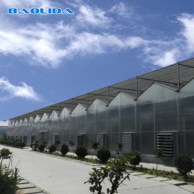 China Commercial Blackout Polycarbnote Sheet Greenhouse Customized Eco Friendly for sale
