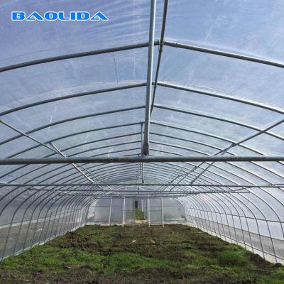 China Sample Tunnel Plastic Greenhouse / Plastic Vegetable Single Span Greenhouse for sale