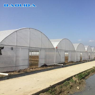 China Plastic Film Vegetables Growing Agricultural 200 Micron PE Film Multispan Greenhouse for sale