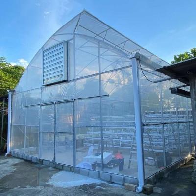 China 100m Length Plastic High Tunnel Farming Polyethylene Film Greenhouse For Crop Growth for sale