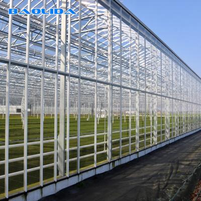 China Tunnel Venlo Glass Greenhouse Fully Automatic Climate Control for sale