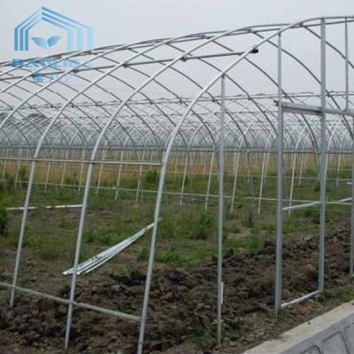 China Plastic Film Tunnel Single Span Greenhouse Heat Preservation For Winter Tomato for sale