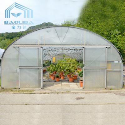China Mini Hot Stove Poly Tunnel Walk In Greenhouse Plastic Covering Tunnel Plastic Greenhouse for sale