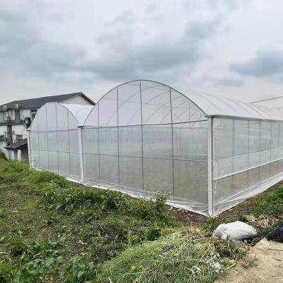 China High Tunnel Multi Span Greenhouse Plastic PE Film For Strawberry for sale
