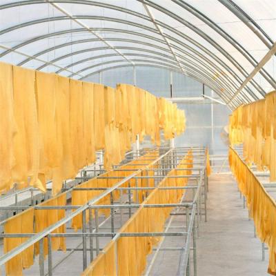 China Poly Tunnel Single Span Polycarbonate Sheet Greenhouse Sun Solar Dryer For Rubber for sale