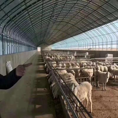 Κίνα Εξοπλισμός καλλιέργειας πουλερικών σπιτιών στεφανών χειμερινού κοτόπουλου πουλερικών προς πώληση