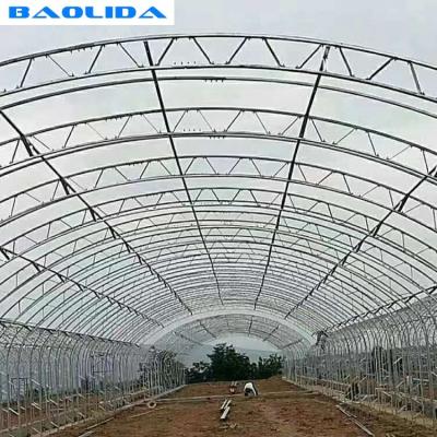 China High Load Bearing Galvanized Steel Pipe Double Arch Double Film Poly Film Greenhouse for sale