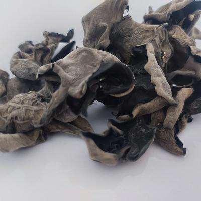 China Edible Dried Wood Ear Mushroom Healthy Dried Natural AD Black for sale