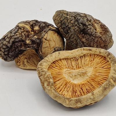 中国 Daily Meals Brown Dried Shiitake Mushrooms Stored In Dry Place 販売のため
