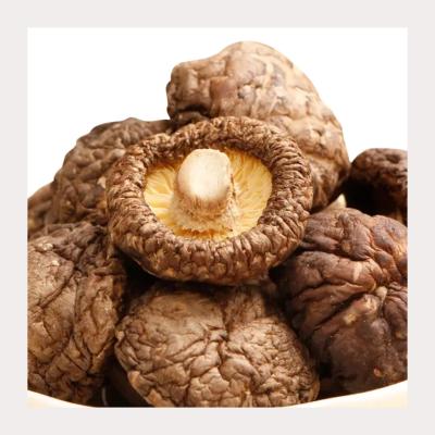 中国 100% Natural Dried Shiitake Mushrooms No Additives Bag Packaging 販売のため