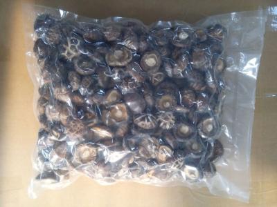 China Categoria superior orgânica cogumelo de Shiitake secado saudável e delicioso à venda