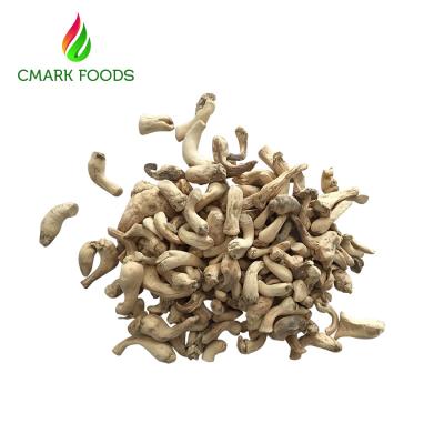 China Healthy And Organic Dried Shiitake Mushrooms / Dried Forest Mushrooms Leg for sale