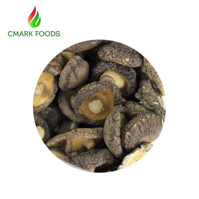 Chine Champignons de shiitaké secs entiers de l'humidité 11%/champignon de shiitaké organique entier à vendre