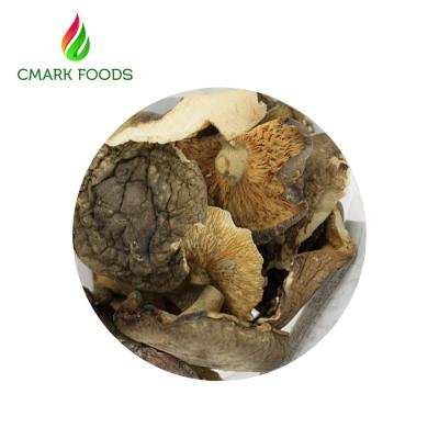 China Gourmet Food Dried Oyster Mushrooms Grade B Dried Wild Mushrooms for sale