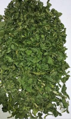 China AD Dehydrated Parsley Leaf 2018 New Crop with ISO, HACCP, FDA certificates for sale