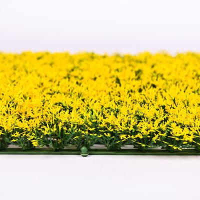 中国 Boxwood Artificial Wall Panels Hedge Plant Grass Artificial Flower Wall 販売のため