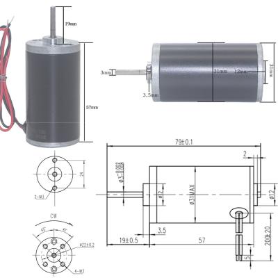 China Koolborstel Motor van de de Torsie Permanente Magneet gelijkstroom van DC24V 4000rpm-8000rpm 31ZY de Grote Te koop