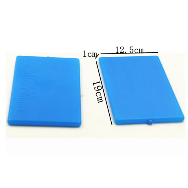 NEW Cooler Hard Thin Ice Pack Reusable For Lunch Box Food Storage Camp Hiking