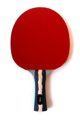 China Tournament Table Tennis Rackets 7 Ply Inverted Rubber Performance Rate Increasing Speed for sale