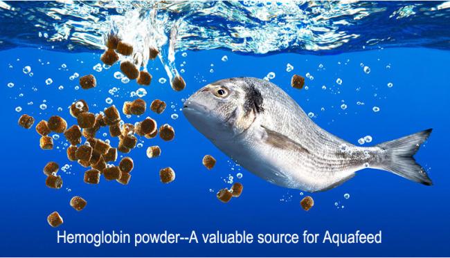 GMP+ Certified Spray Dried Hemoglobin Protein Powder