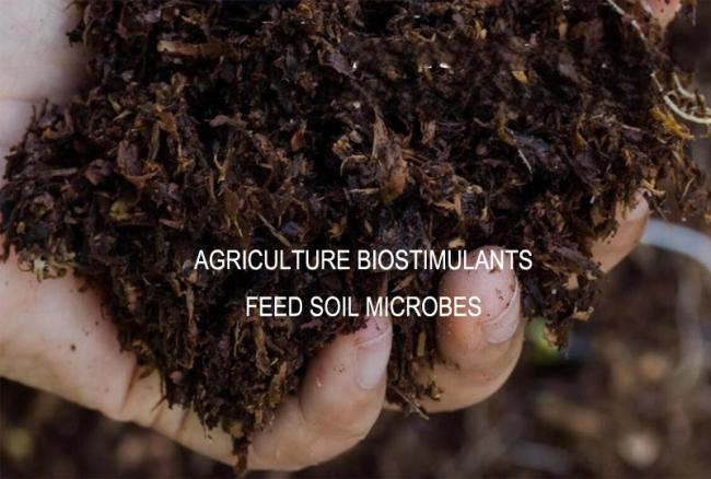 15-0.5-0.5 Deep Sea Cold Processed Pure Fish Protein Hydrolysate Amino Acid Powder Organic Fertilizer