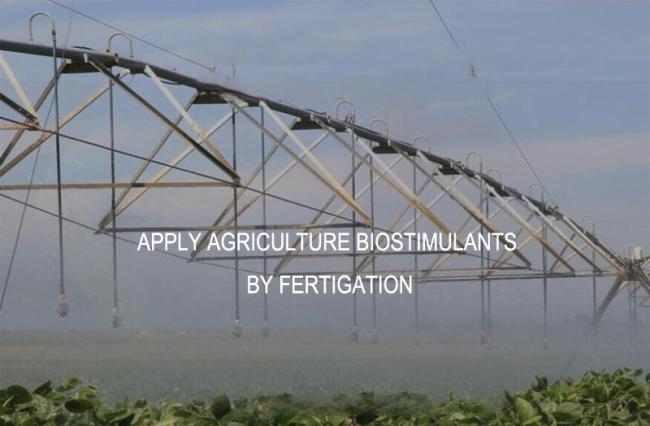 15-0.5-0.5 Deep Sea Cold Processed Pure Fish Protein Hydrolysate Amino Acid Powder Organic Fertilizer