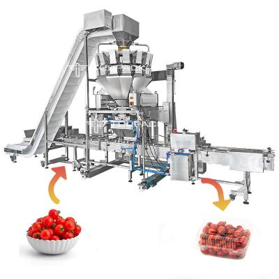 China Adjustable Platform Automatic Filling Machine 110BPM Tomato Weighing And Boxing Cartoning System for sale